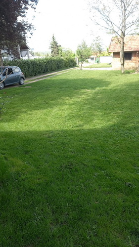 Avala, kragujevacki put. 200 m2, uknjizena 130.000 e